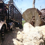 003 thumbnail 1