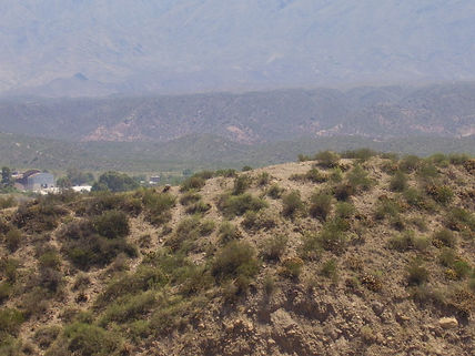 Mirador