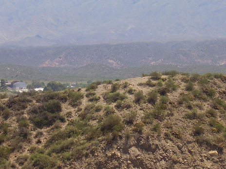 Mirador