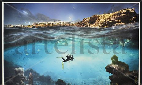 Organic Dive