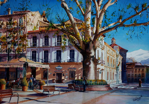 Plaza del Campillo Watercolour Paper Landscaping