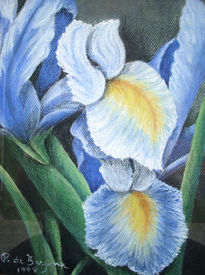 Iris Azul 2