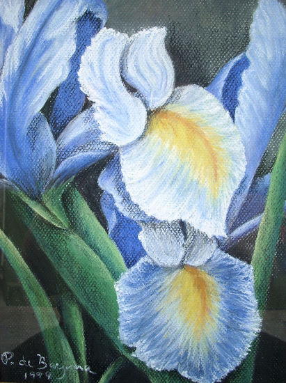 Iris Azul 2 Pastel Paper Floral Painting