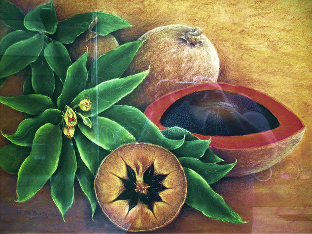 Zapotes y Nísperos Pastel Paper Still Life Paintings