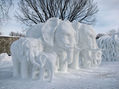 elephant ice