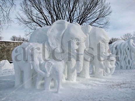Elephant ice