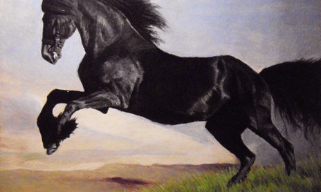animales