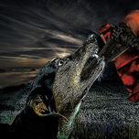 Colección 2015 thumbnail 1