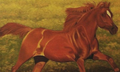 Animales