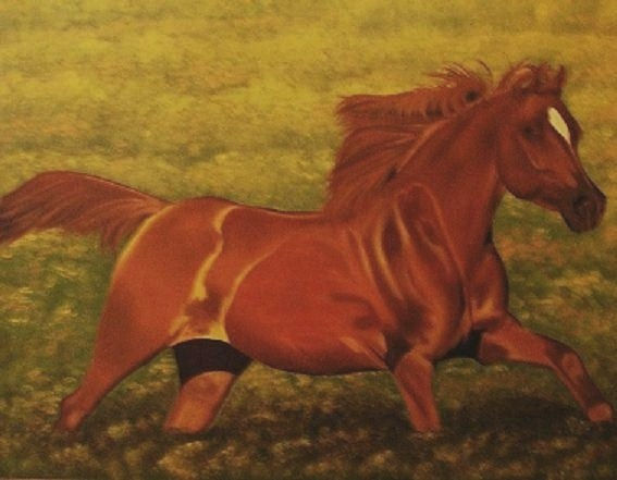 A Galope Oil Canvas Animals