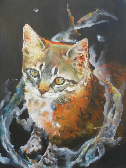 gato Acrylic Canvas Animals