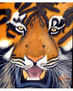 tigre