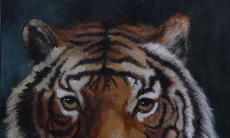 Animales salvajes