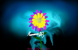 CIELO Y FLORES-1