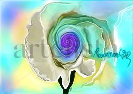 CIELO Y FLORES 002