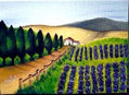 campo de lilas