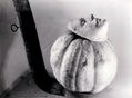 Estufa de leña, calabaza y mascarilla