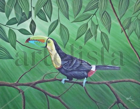 Tucan