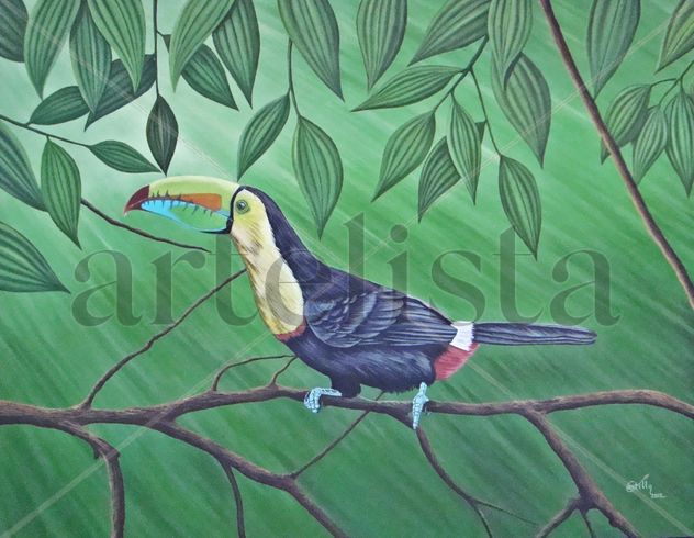 TUCAN
