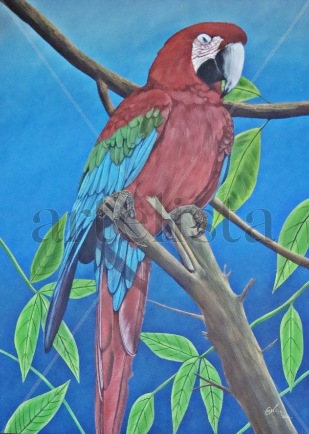 LAPA ROJA