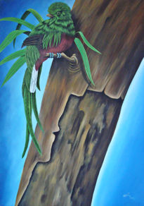 "quetzal"