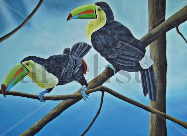 TUCANES...LOS COLORES DE LA NATURALEZA Oil Panel Animals