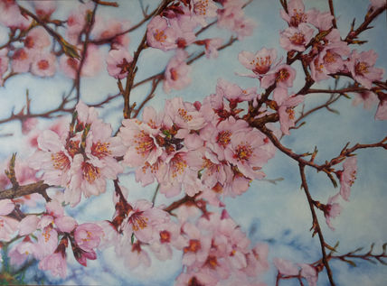 Almendro en flor