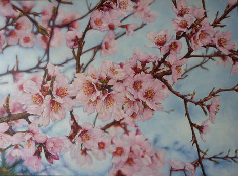 Almendro en flor