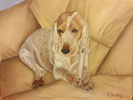 Iris  - 2015