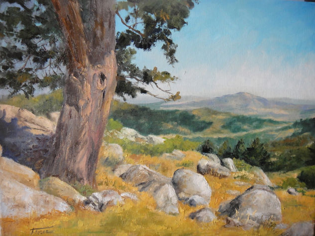 Verano en la Sierra Oil Canvas Landscaping