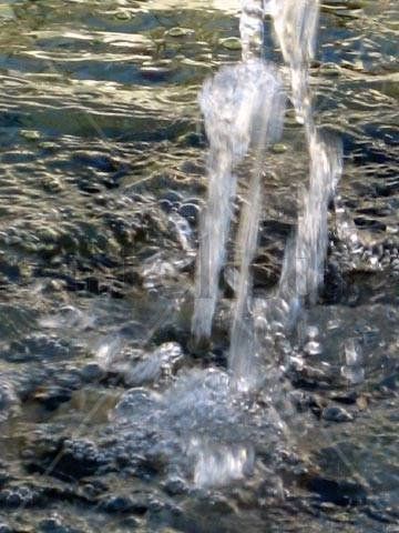 Fuente