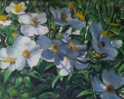 Rosas silvestres en...