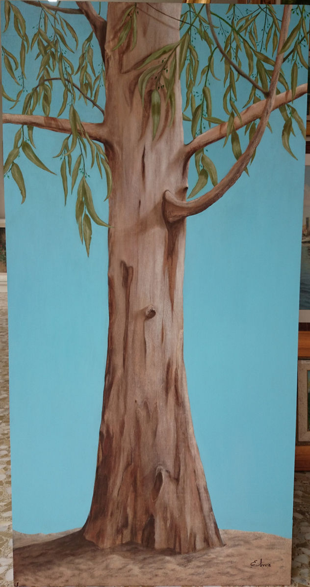 Eucalipto solitario (Solitary eucalyptus)