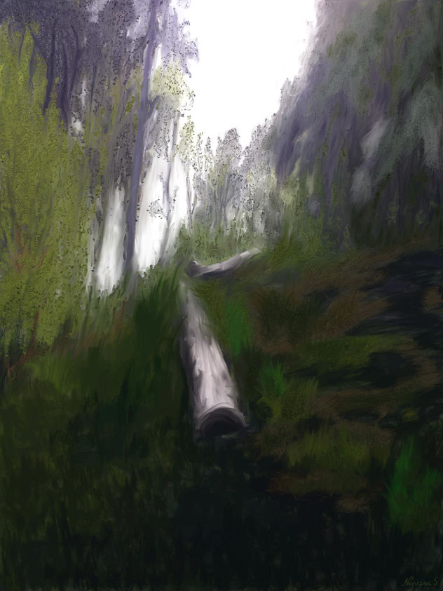 deforestación