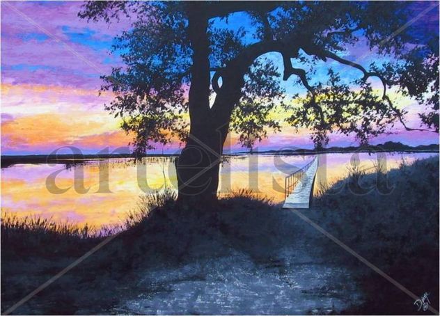 landscape south carolina