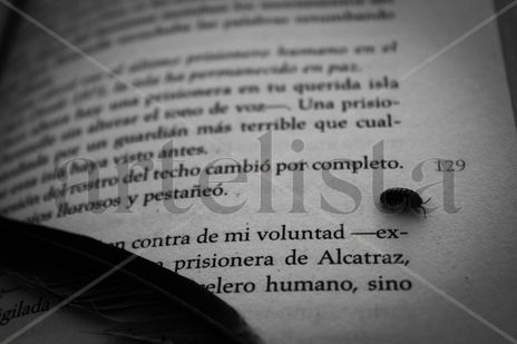 "Mi voluntad"