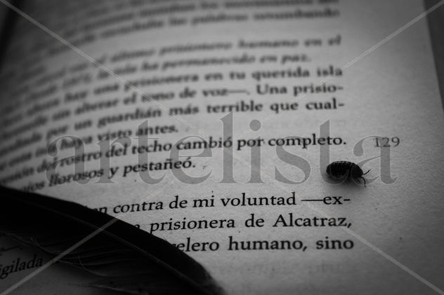 "Mi voluntad"