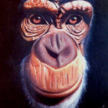 Animales thumbnail 2