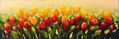 Tulipanes