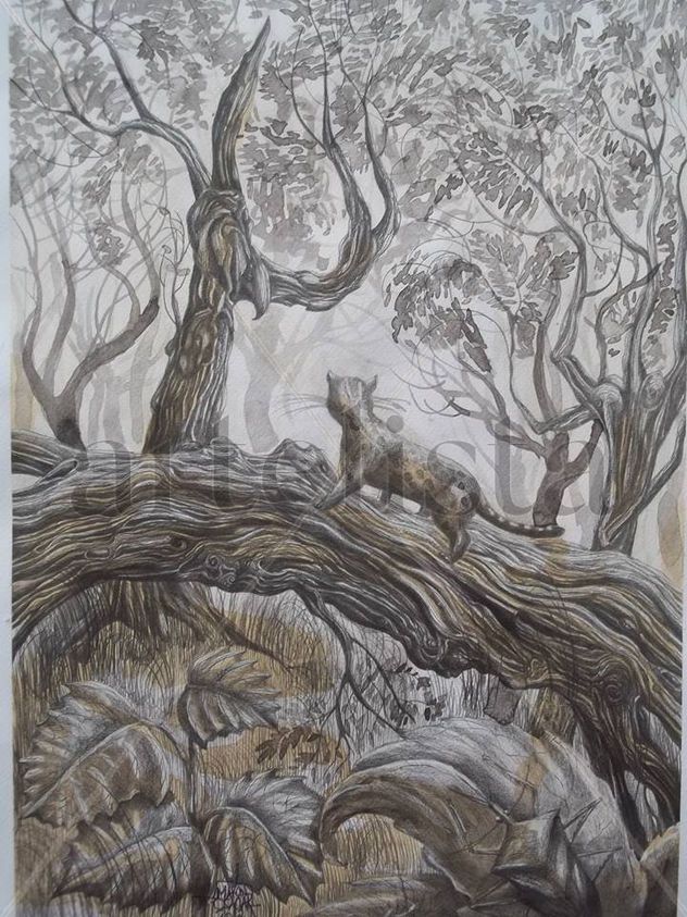 Subjetiva Naturaleza II