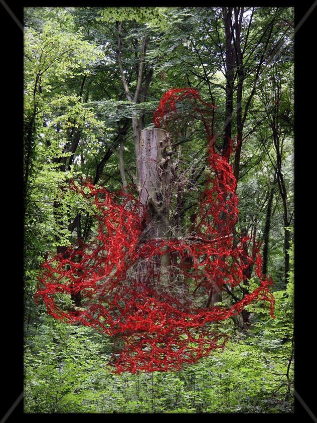 El Bosque Enredado 2