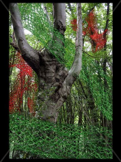 El Bosque Enredado 3 Nature Alternative techniques