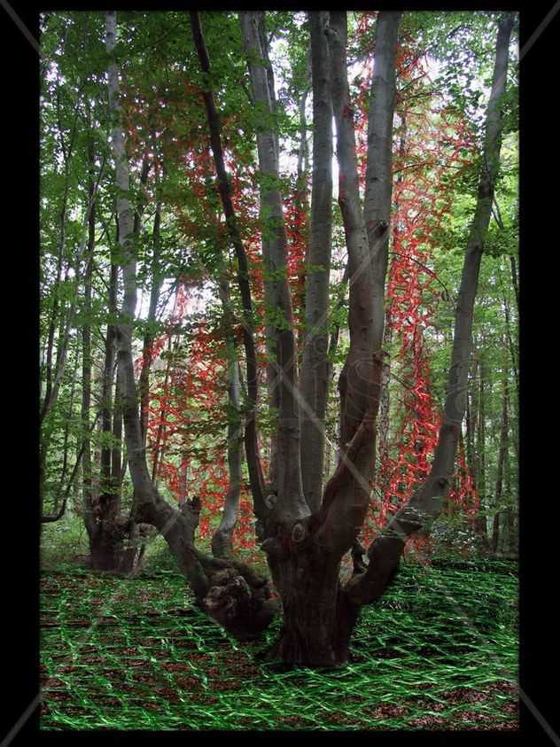 El Bosque Enredado 4