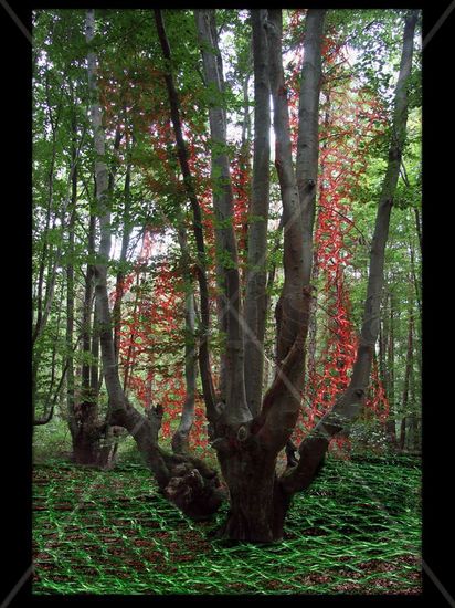 El Bosque Enredado 4 Nature Alternative techniques