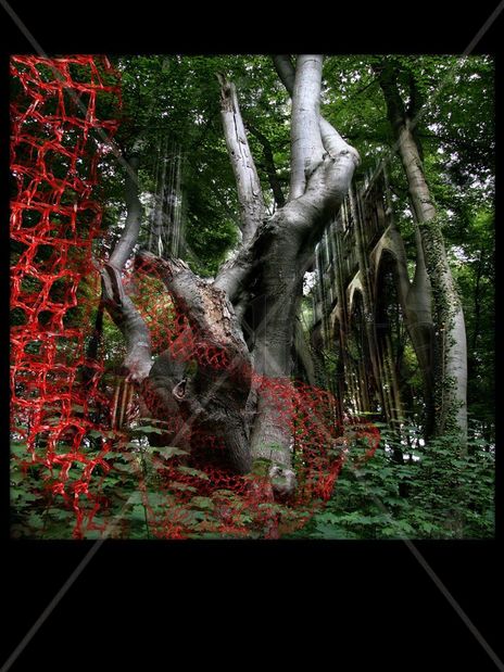 El Bosque Enredado 5