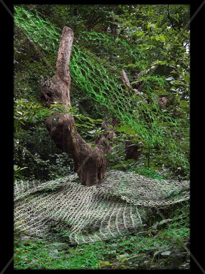 El Bosque Enredado 15 Naturaleza Técnicas alternativas