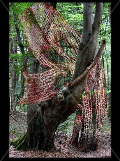 El Bosque Enredado 16 Naturaleza Técnicas alternativas