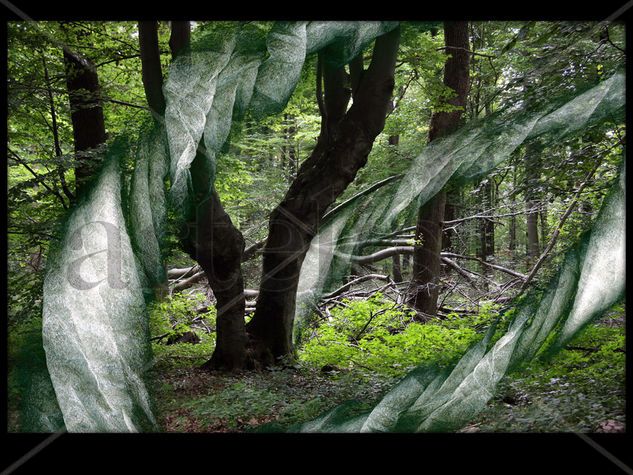 El Bosque Enredado 17 Naturaleza Técnicas alternativas