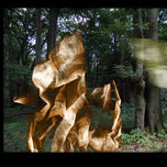 El Bosque Enredado - Der vernetzte Wald thumbnail 1
