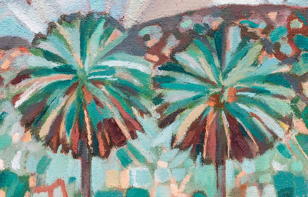 palmera canaria y barranco